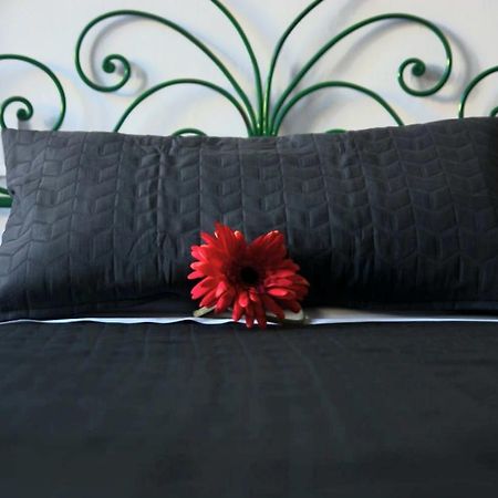 Little Luxury Apartment In San Lorenzo Florence Buitenkant foto